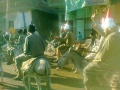 والحمير.jpg