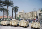 الدقهلية.jpg