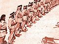 تصغير للنسخة بتاريخ ١٥:٤٣، ٣٠ مايو ٢٠١٠