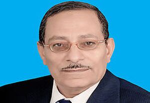 محمد عبد النبي.jpg