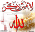 تصغير للنسخة بتاريخ ١٤:٠٠، ٢٣ فبراير ٢٠١٠