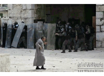 فلسطين.gif