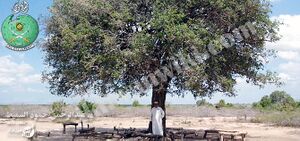 عبد-الرحمن-السميط.32.jpg