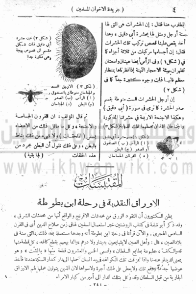 ملف:5o.gif