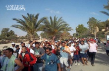 اخبار4842011.jpg