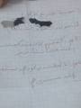تصغير للنسخة بتاريخ ٠٩:٥٧، ٩ سبتمبر ٢٠١٣