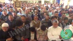 طارق-الغندور.20..jpg