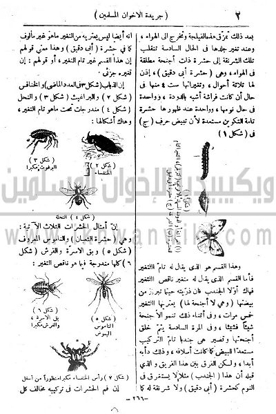 ملف:3v.jpg